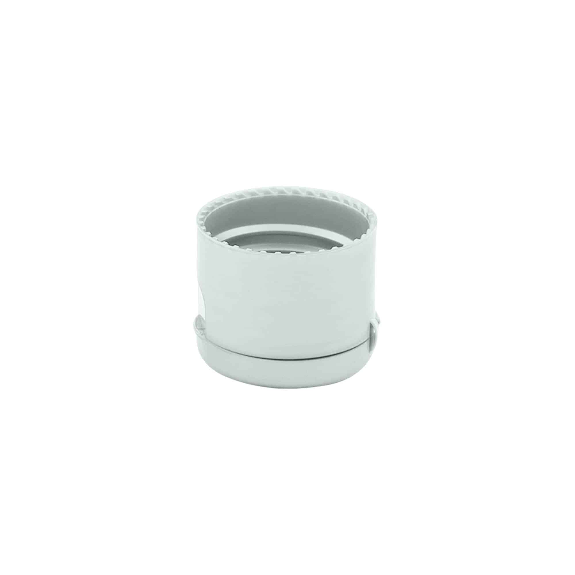 Skruvkapsel gångjärnslock, PP-plast, silver, för mynning: GPI 24/410